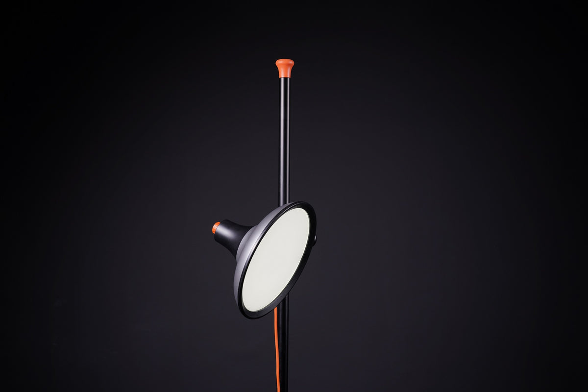 Daylight Artist Studio 2 Floor Lamp