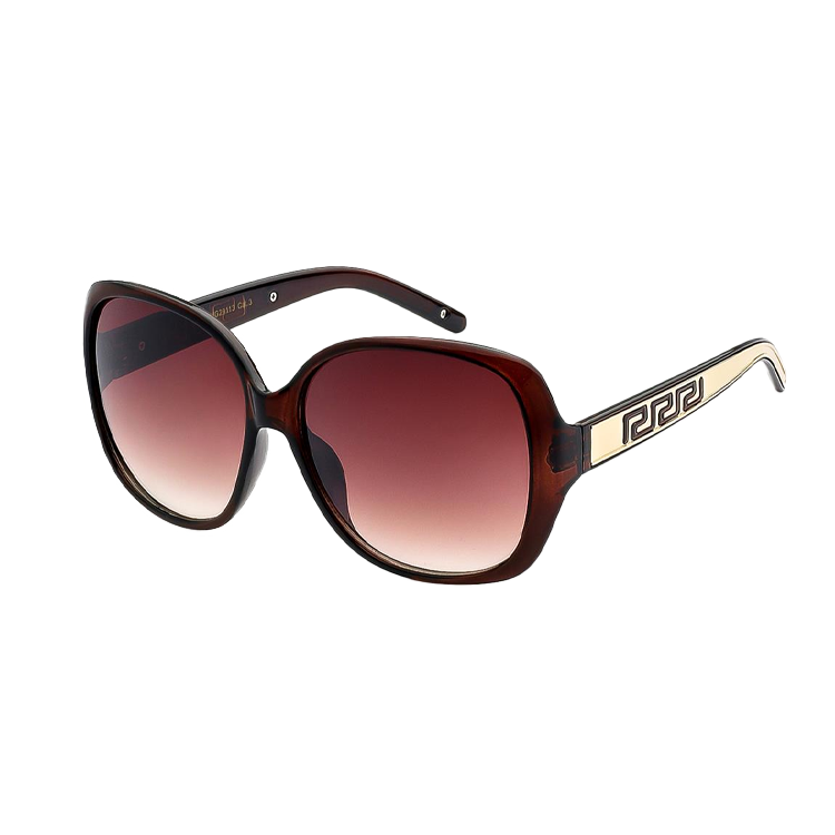 Sunglasses Oversized Women's Frame - PinkPro Beauty Supply