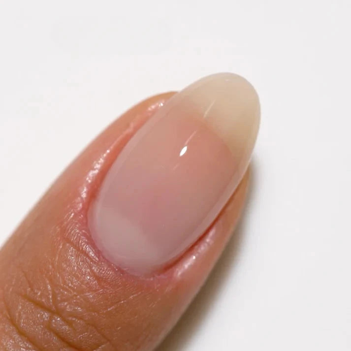 DND DC New Shear Sugar #2443 DND