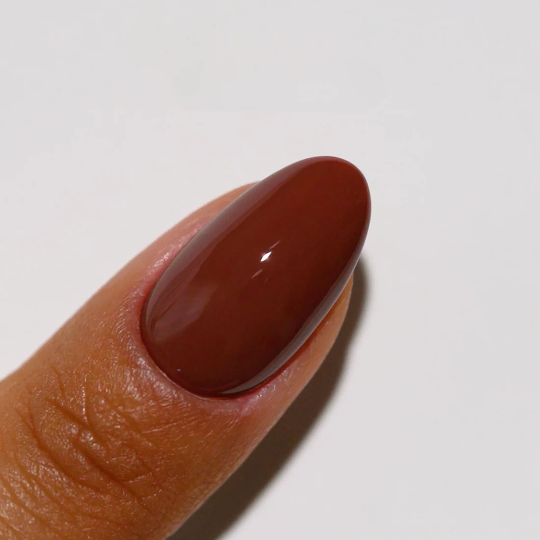 DND DC Duo Coffee Bean #319 DND