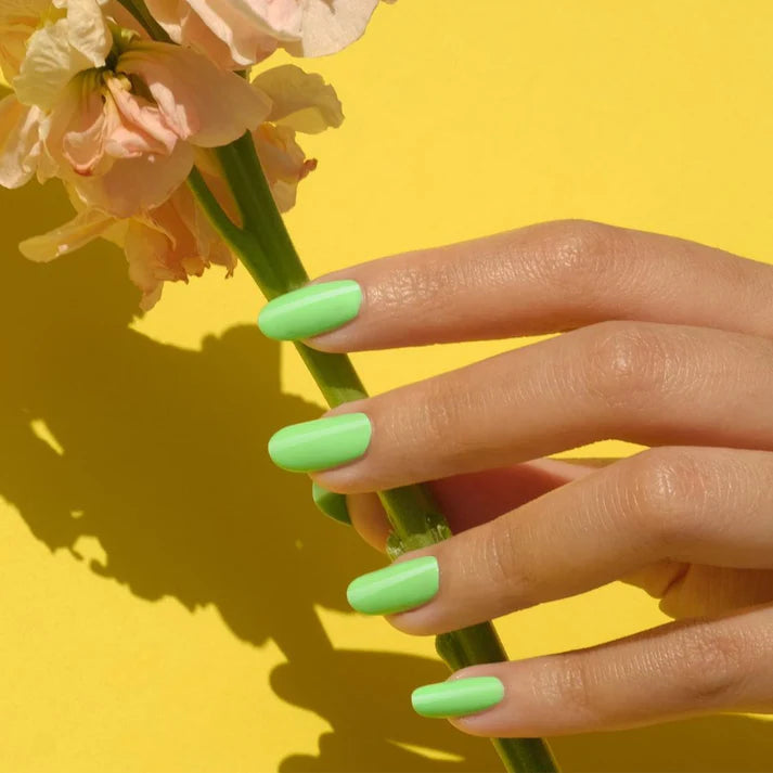 DND Duo Green Forest, AK #568 .5 oz. DND