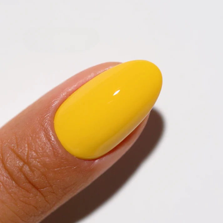 DND DC DUO Buttered Corn #746.5 oz DND