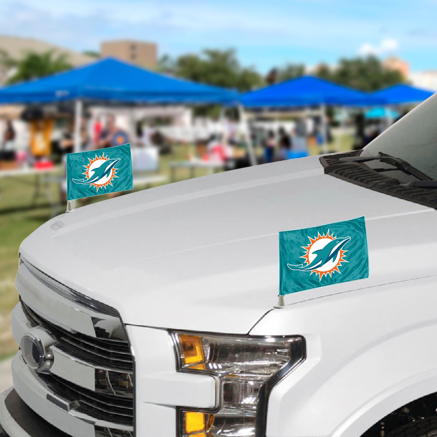 Fanmats Miami Dolphins Ambassador Flags