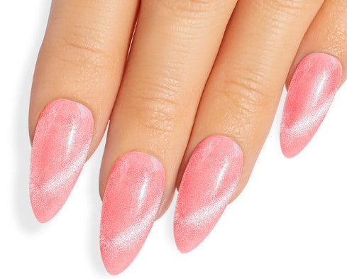 Kiara Sky Magnetic FX Collection with Swatch ring