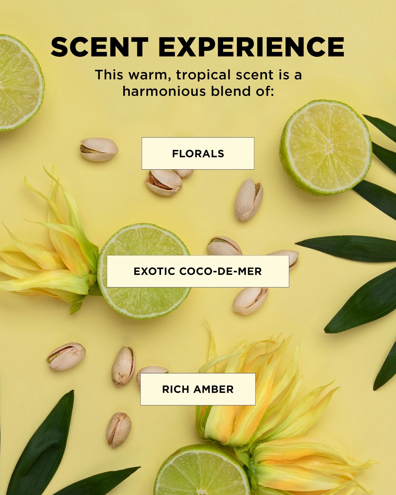 DESIGNME BOUNCE.ME Hair in the Clouds Dream Mane - Curl Set