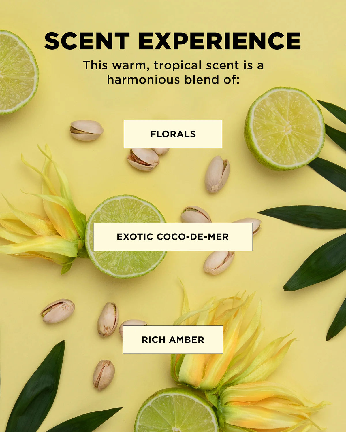 DESIGNME Bounce.Me Hair in the Clouds Curl Set