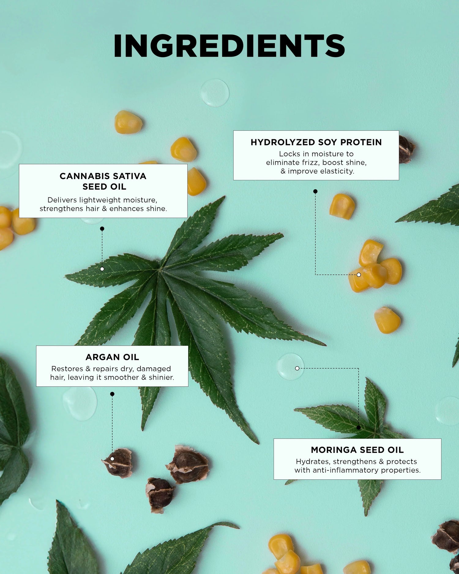 DESIGNME GLOSS.ME Dream Mane - Hydration Kit