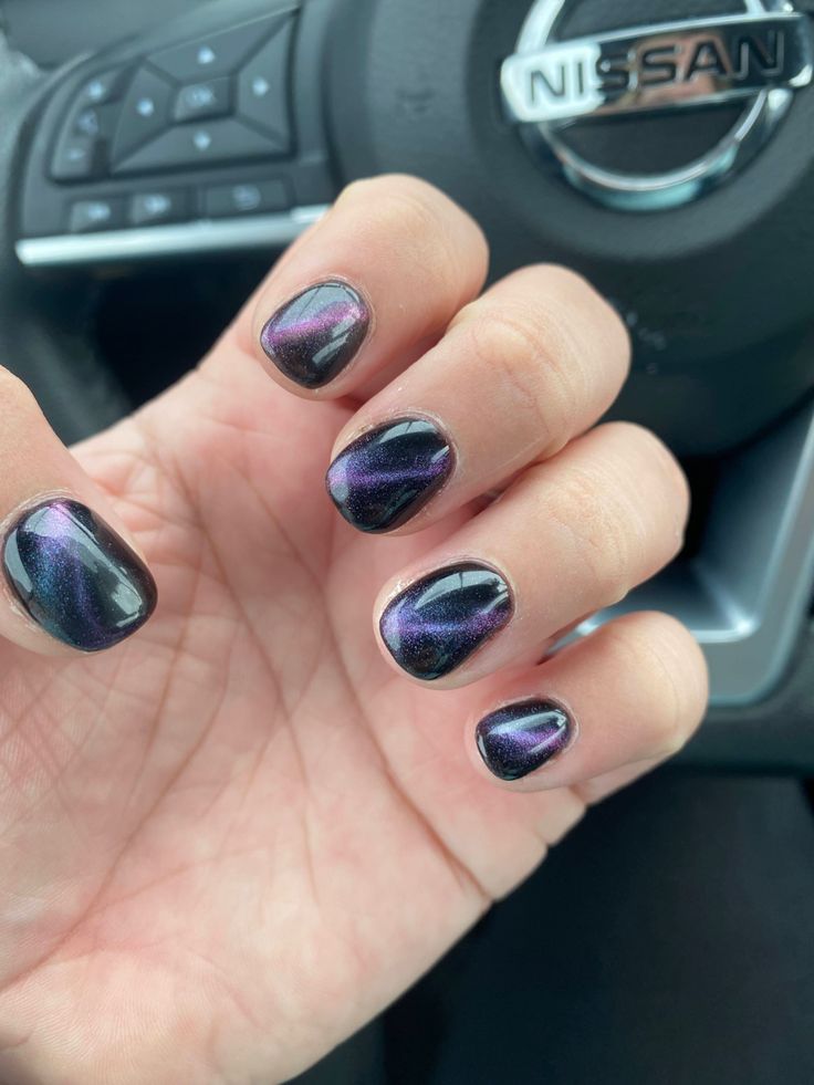 DND DC 5D Siamese Cat #10