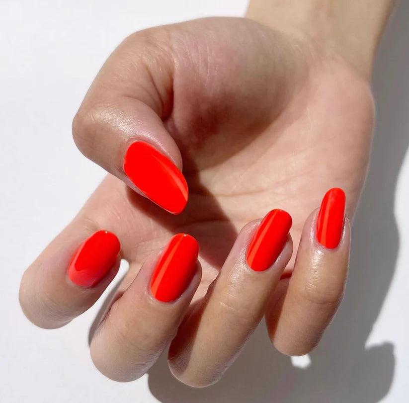 DND DC Duo Island Punch #715 .5 oz. DND