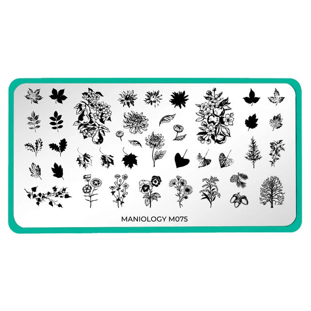 Maniology Harvest Blooms - Nail Stamping Plate