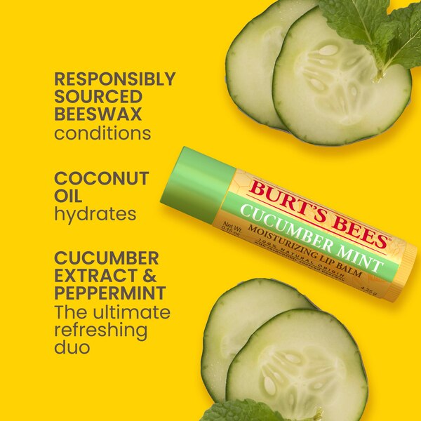 Burt's Bees Freshly Picked Lip Balm 4pk