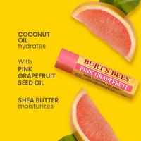 Burt's Bees Superfruit Lip Balm 4pk