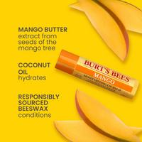 Burt's Bees Superfruit Lip Balm 4pk