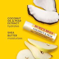 Burt's Bees Superfruit Lip Balm 4pk