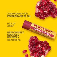 Burt's Bees Superfruit Lip Balm 4pk