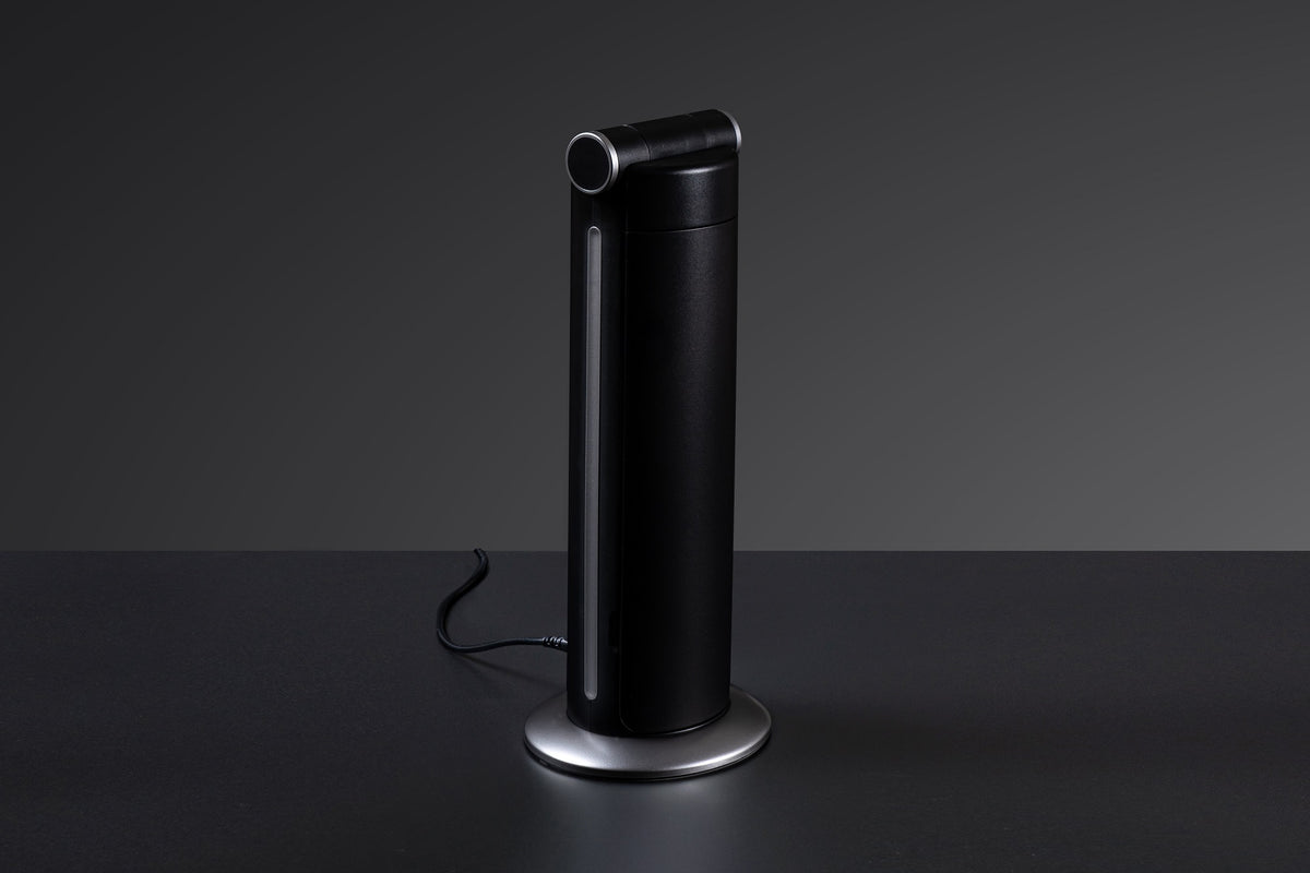 Daylight Twosun Therapy & Task Lamp