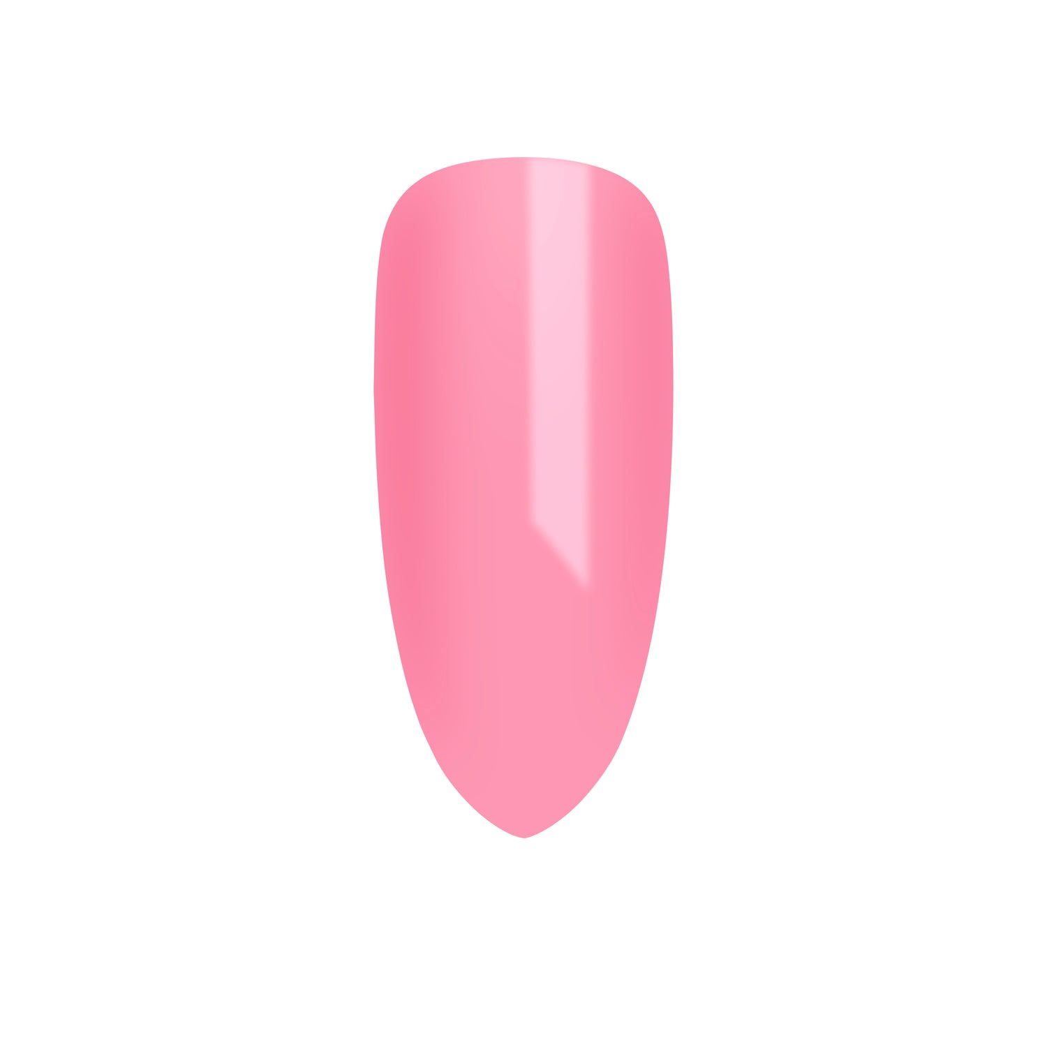 CND Shellac Vivid Collection Pre-Pack  PRE-ORDER