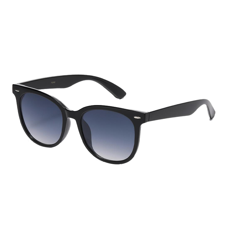 Retro Wayfarer Sunglasses - Assorted Color - PinkPro Beauty Supply