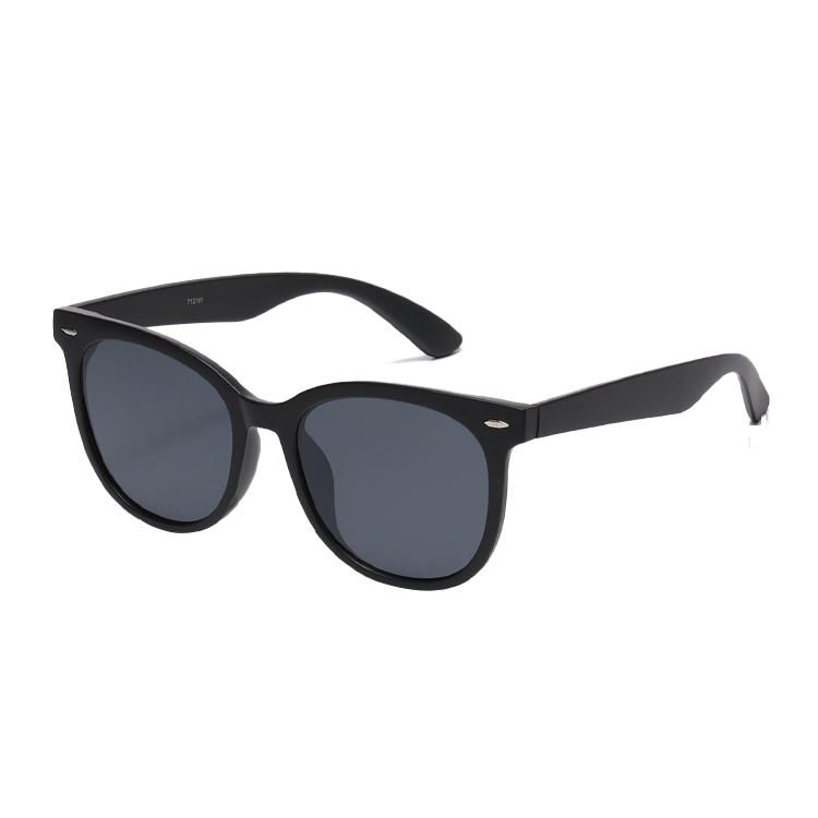 Retro Wayfarer Sunglasses - Assorted Color - PinkPro Beauty Supply