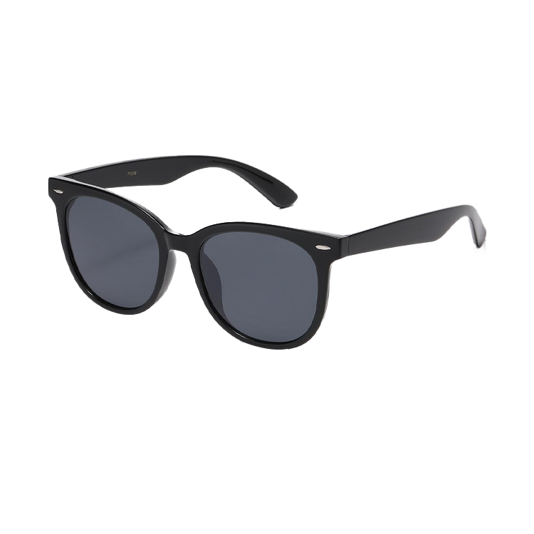 Retro Wayfarer Sunglasses - Assorted Color - PinkPro Beauty Supply
