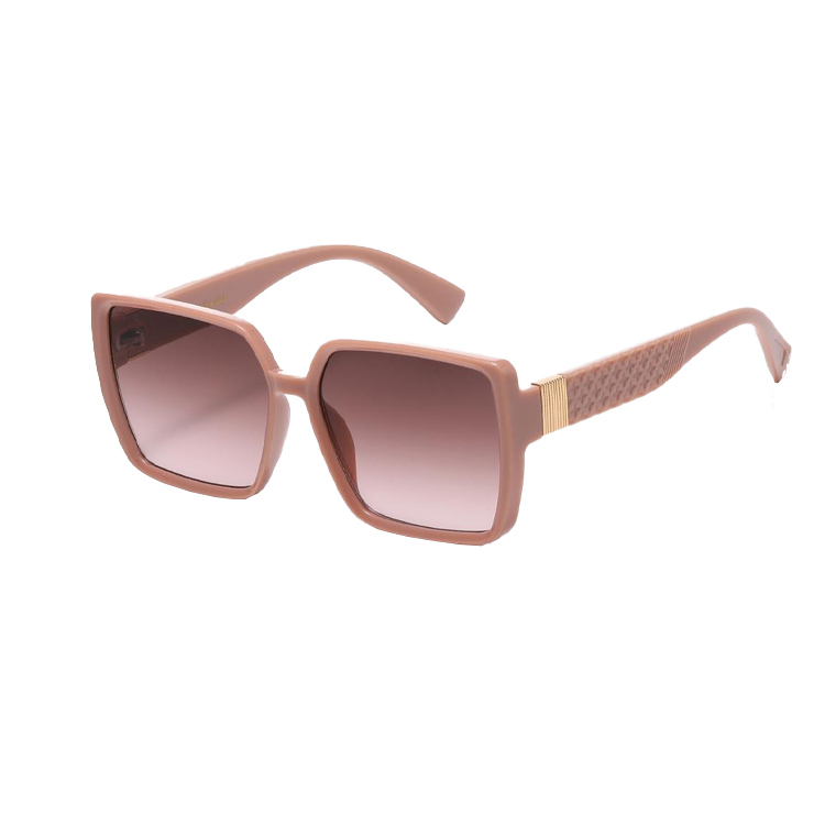 VG oversized Modern Sunglasses - Assorted Colors - PinkPro Beauty Supply