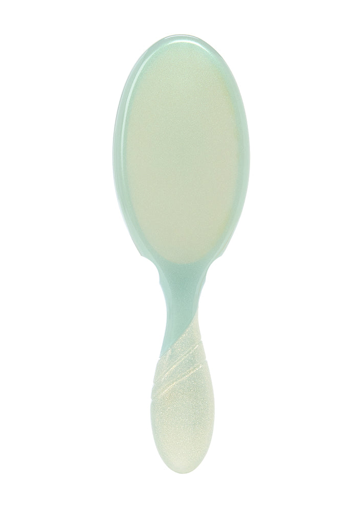 Wet Brush Pearlescent Aura Detangler - Sage