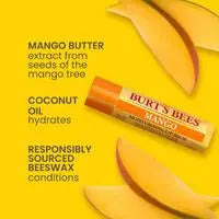 Burt's Bees Superfruit Lip Balm 4pk - PinkPro Beauty Supply