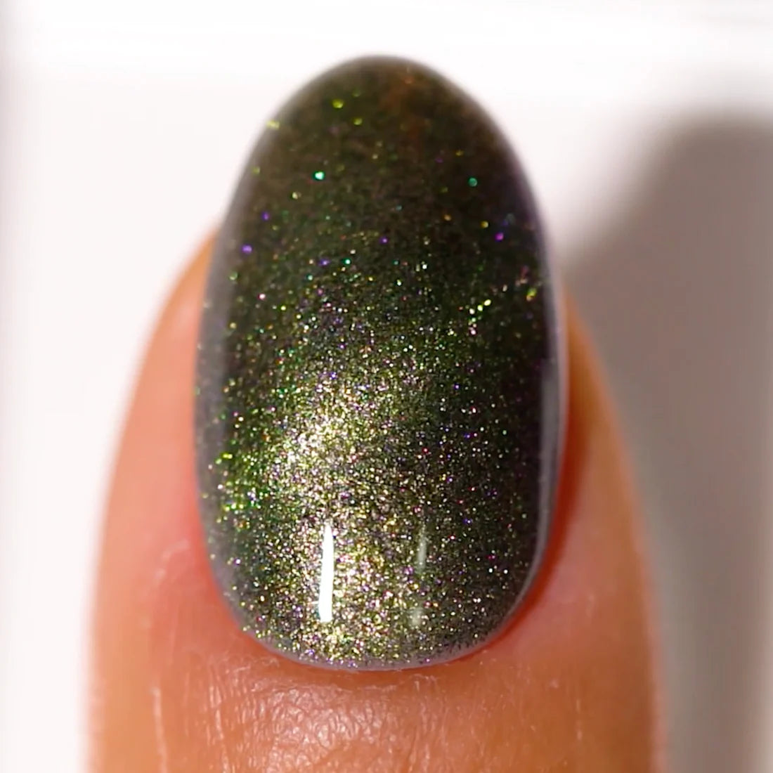 DND 5D Cat Eye British Shorthair #01