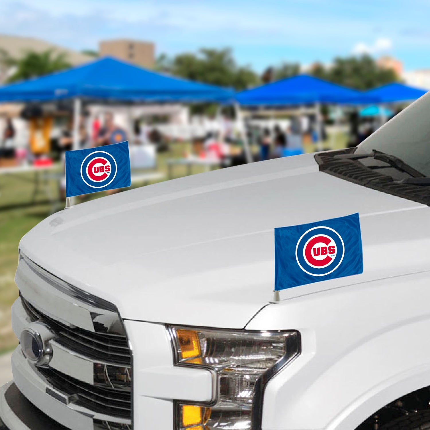 Fanmats Chicago Cubs Ambassador Flags