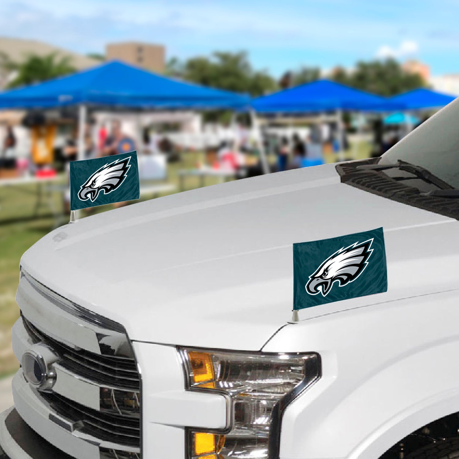 Fanmats Phildelphia Eagles Ambassador Flags