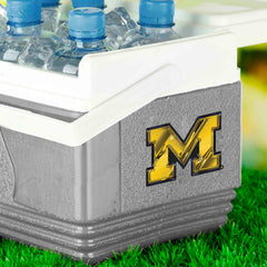 Fanmats Michigan Wolverines 3D Decal Fanmats