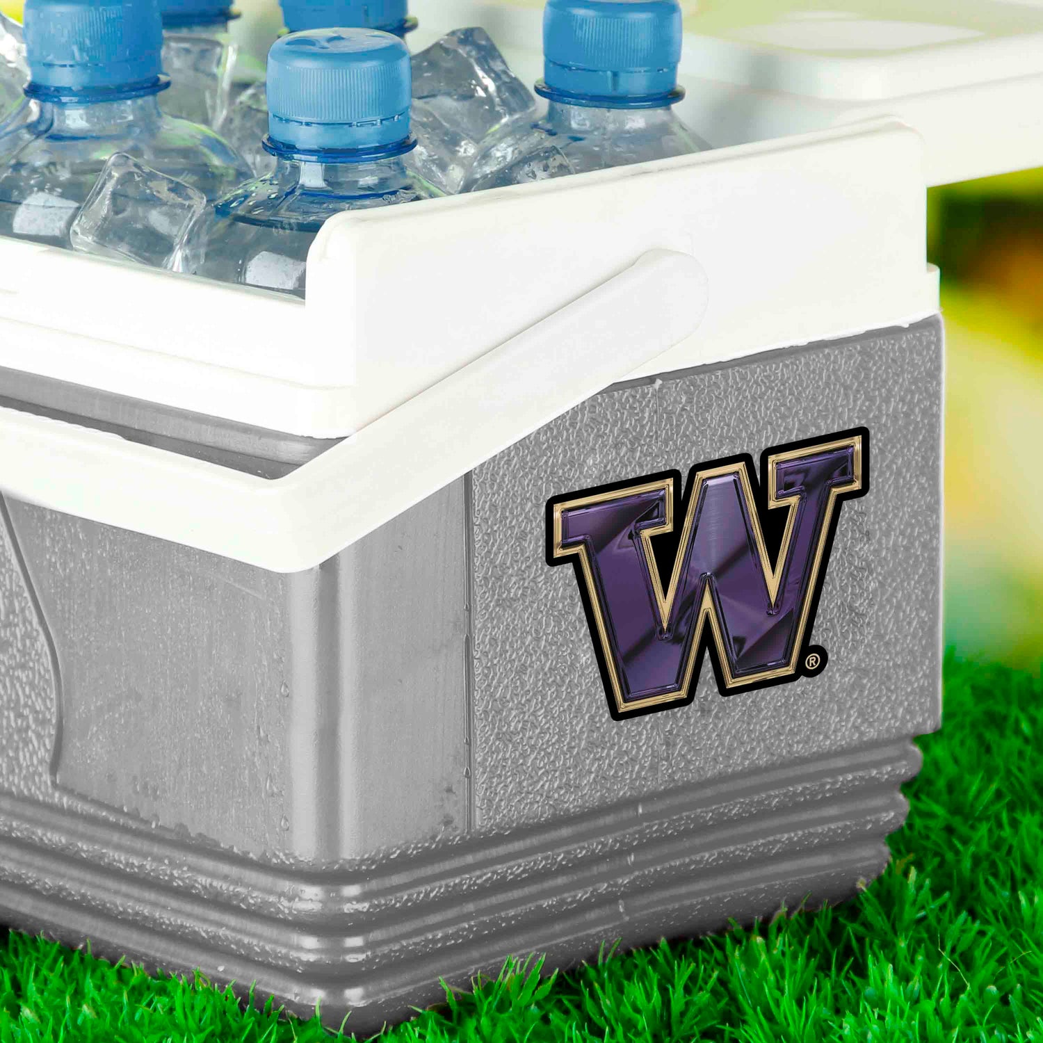 Fanmats Washington Huskies 3D Decal