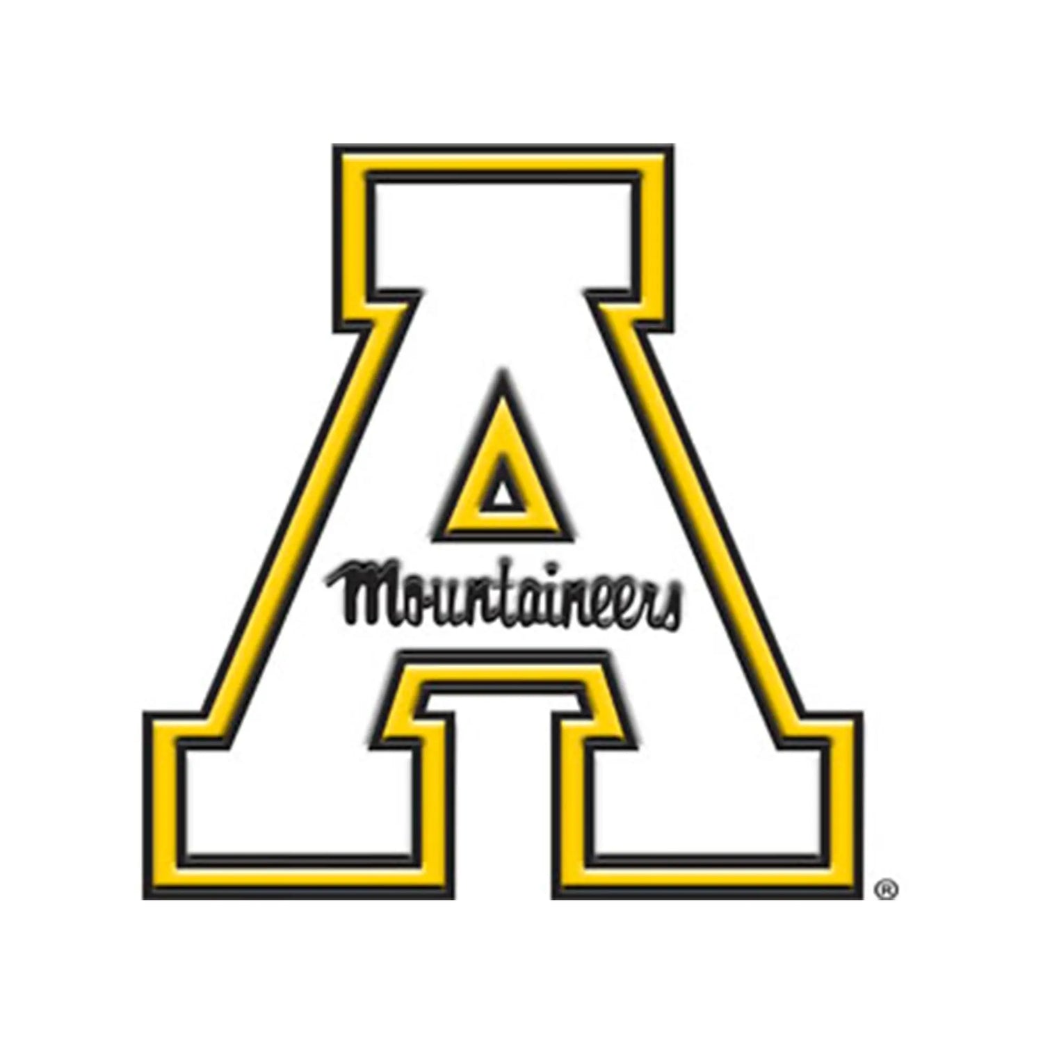 Fanmats Appalachian State Mountaineers Color Emblem - PinkPro Beauty Supply