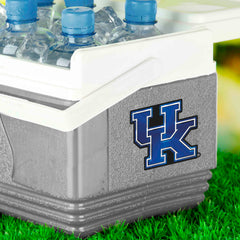 Fanmats Kentucky Wildcats 3D Decal Fanmats