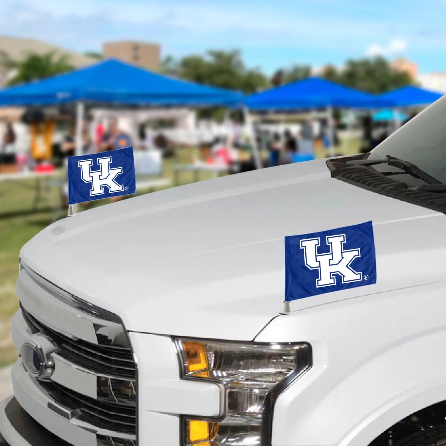 Fanmats Kentucky Wildcats Ambassador Flags Fanmats