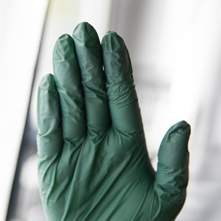 Framar Pine Palms Nitrile Glove- Large