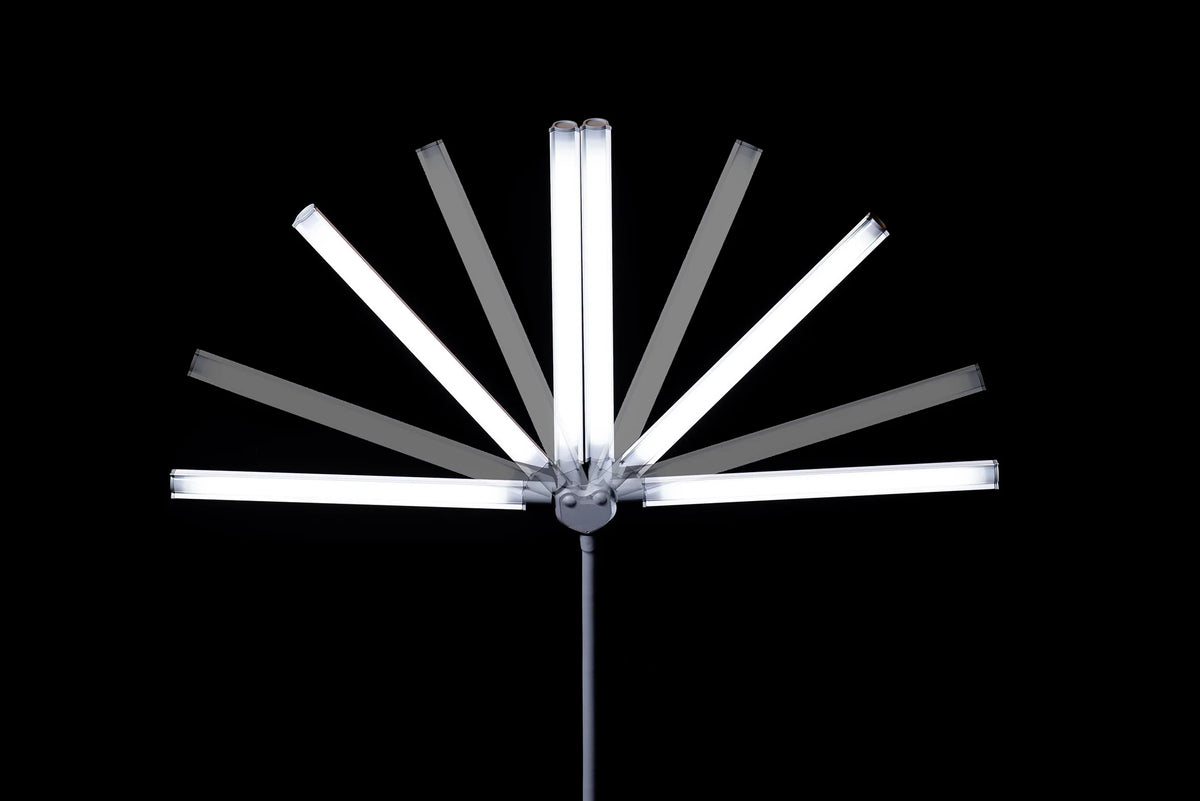 Daylight DuoPro Floor Lamp