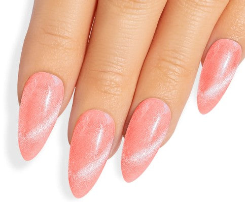 Kiara Sky Magnetic FX Collection with Swatch ring