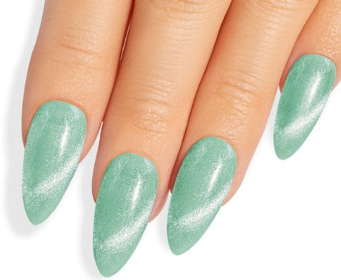 Kiara Sky Magnetic FX Collection with Swatch ring