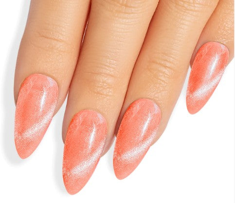 Kiara Sky Magnetic FX Collection with Swatch ring