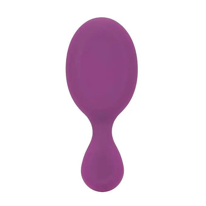 Wet Brush Mini Detangler Purple Frost Wet Brush