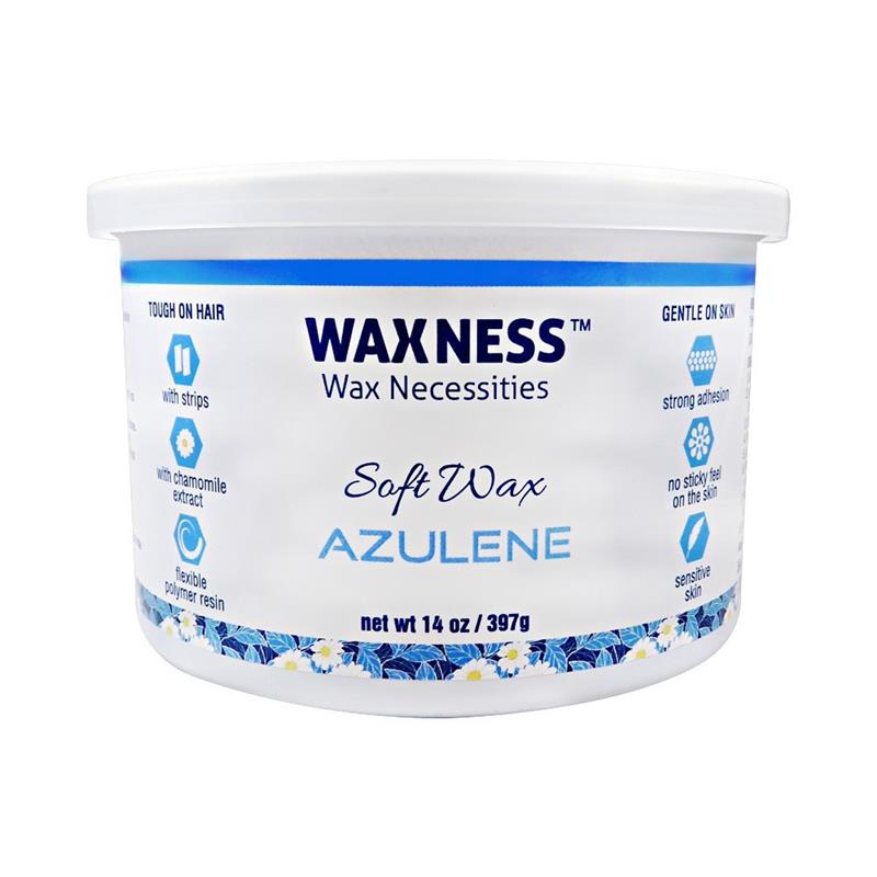 Waxness Student Complete Waxing Kit