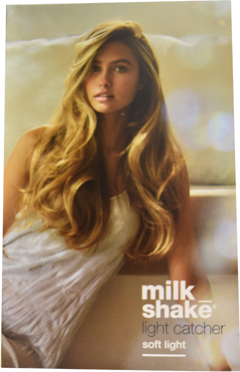 Milk_Shake Light Catcher Brochure